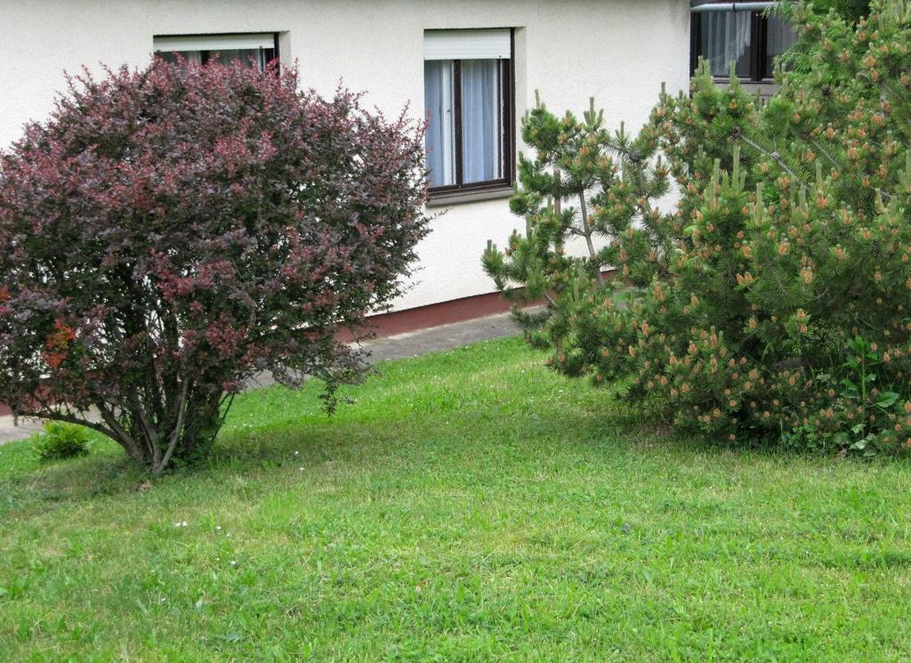 Budai Garden House Hévíz Quarto foto